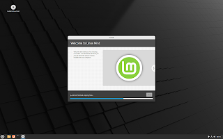 Captura de pantalla instalación del sistema operativo Linux Mint