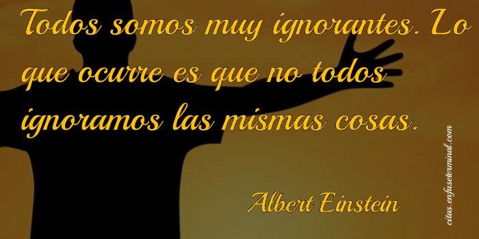 Todos somos muy ignorantes. Lo que ocurre es que no todos ignoramos las mismas cosas.   Albert Einstein